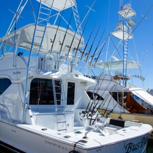 Sportfishing in Los Cabos - Bus Pass - Image 4
