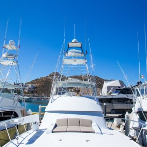 Sportfishing in Los Cabos - Bus Pass - Image 6